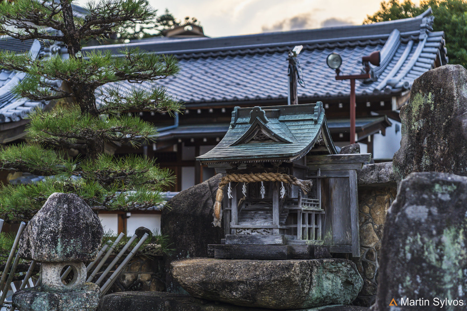 2025 Japon martin sylvos 16